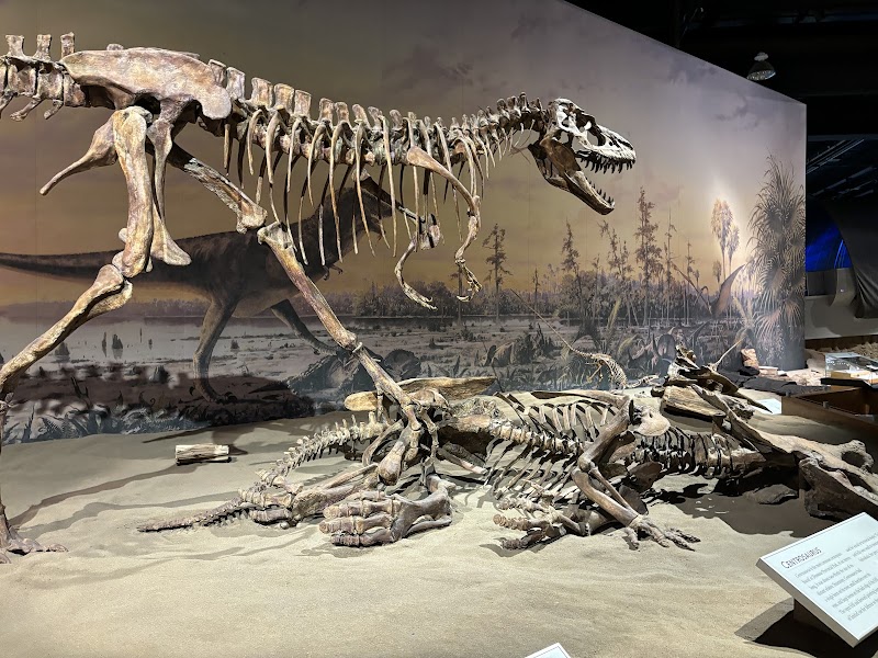 Photo 1 at Royal Tyrrell Museum in Drumheller