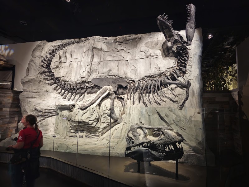 Photo 6 at Royal Tyrrell Museum in Drumheller