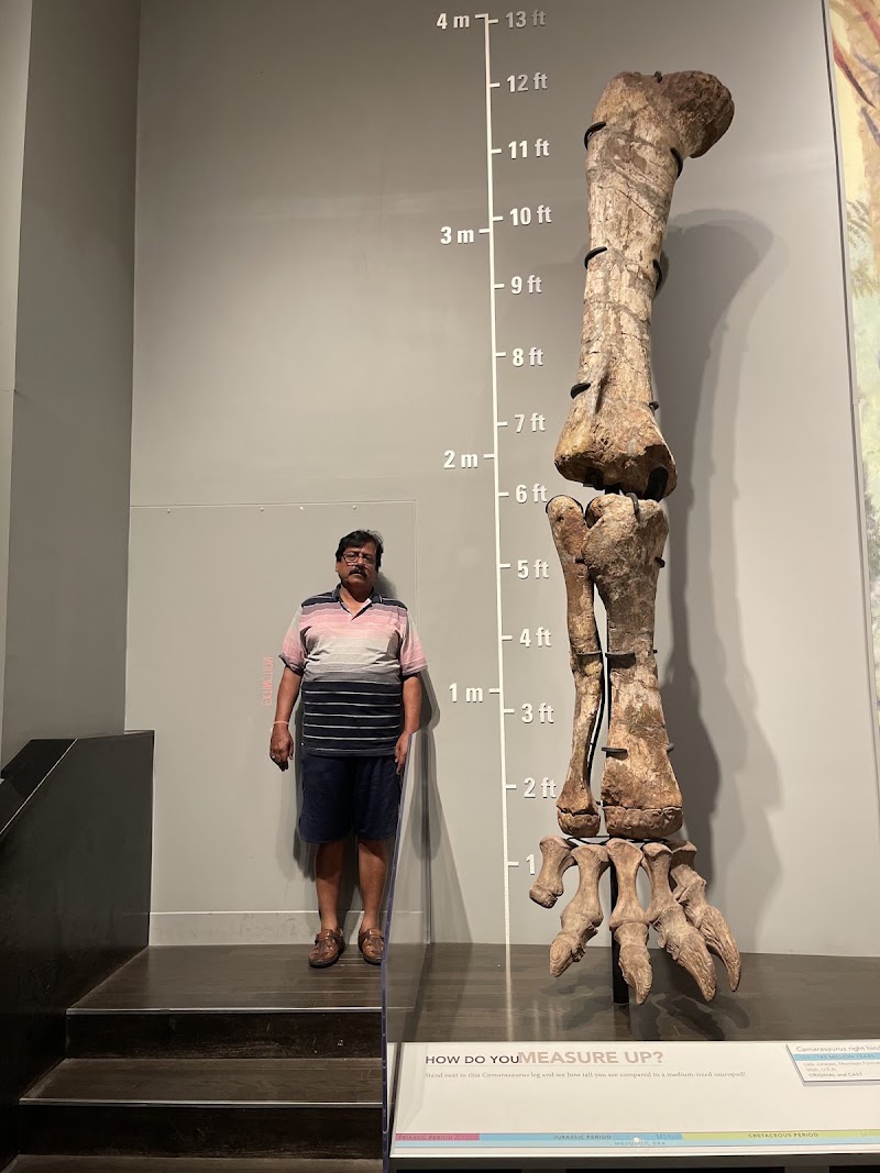 Photo 3 at Royal Tyrrell Museum in Drumheller