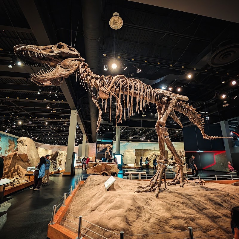 Photo 5 at Royal Tyrrell Museum in Drumheller