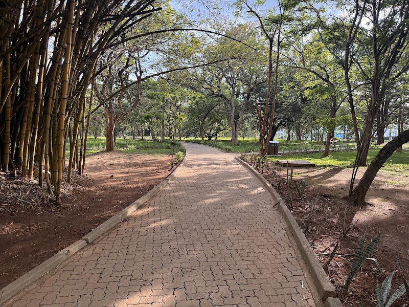 Kimihurura Roundabout Park in Kigali