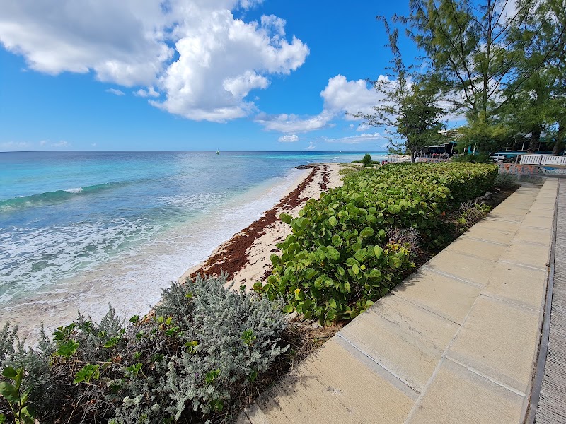 Photo 3 at The Richard Haynes Boardwalk in Bridgetown