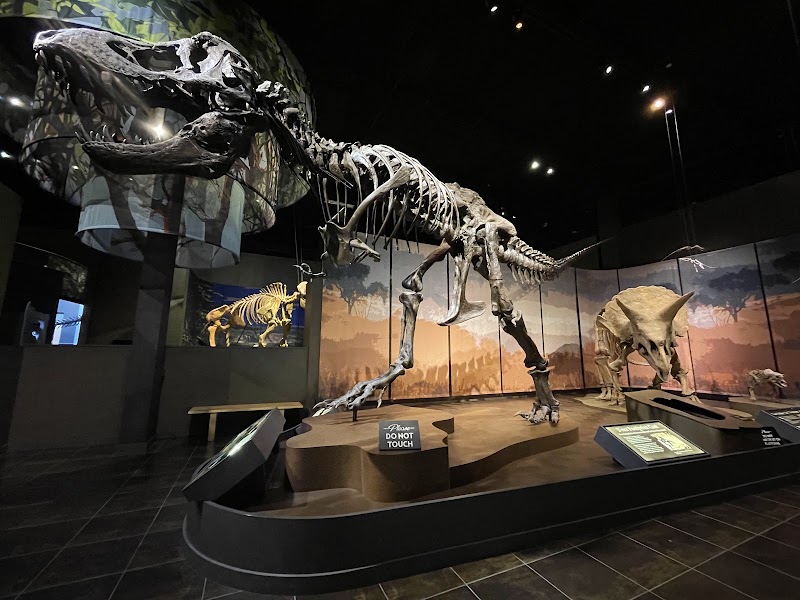 Photo 1 at Tellus Science Museum in Cartersville