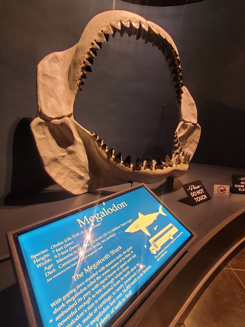 Photo 4 at Tellus Science Museum in Cartersville