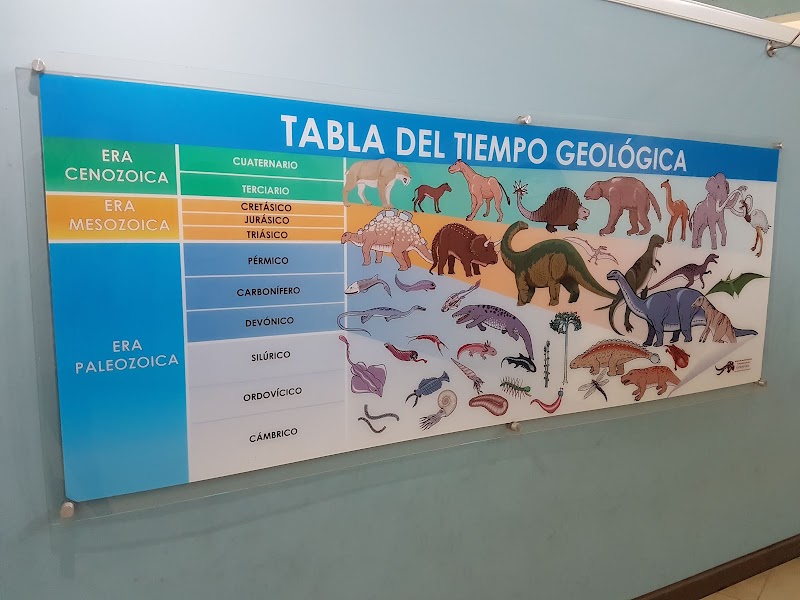 Photo 5 at Museo de Paleontologia y Arqueología de Estanzuela in Estanzuela