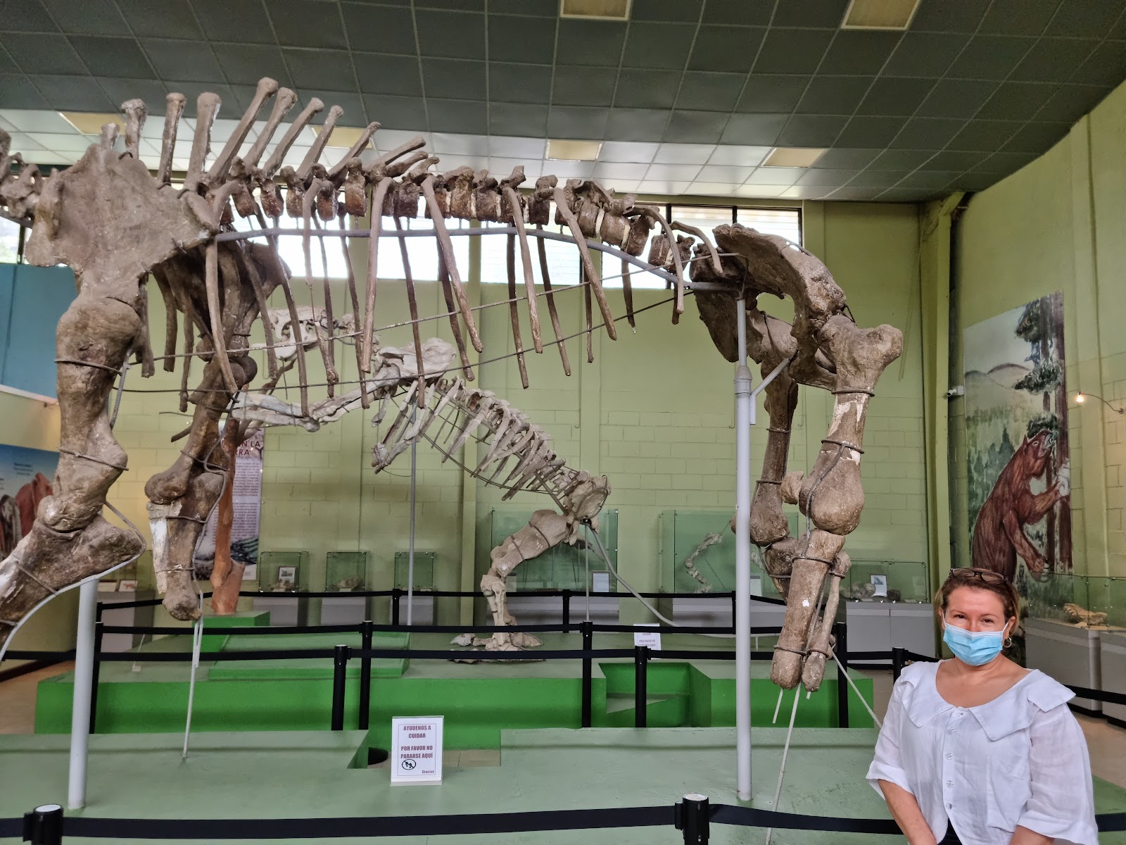 Museo de Paleontologia y Arqueología de Estanzuela in Estanzuela