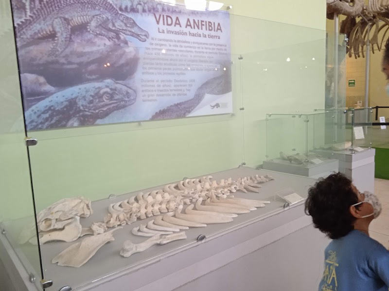 Photo 2 at Museo de Paleontologia y Arqueología de Estanzuela in Estanzuela