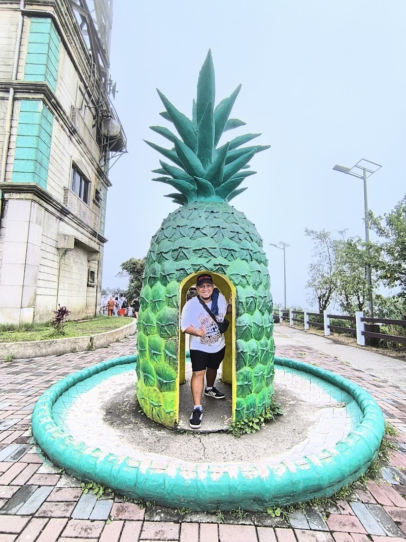 Photo 5 at People's Park in the Sky in Tagaytay City