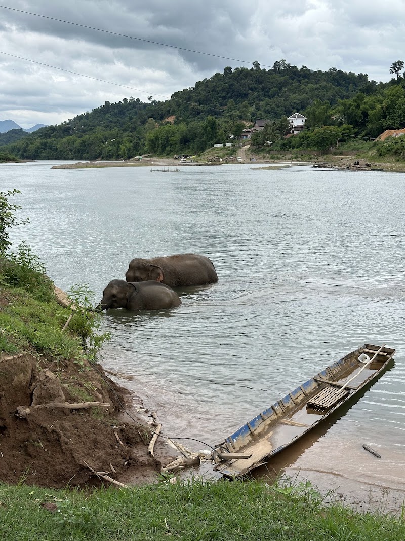 Photo 6 at MandaLao Elephant Conservation in Luang Prabang