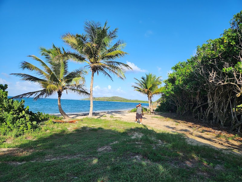 Photo 4 at Salt River Bay National Historical Park and Ecological Preserve in Christiansted