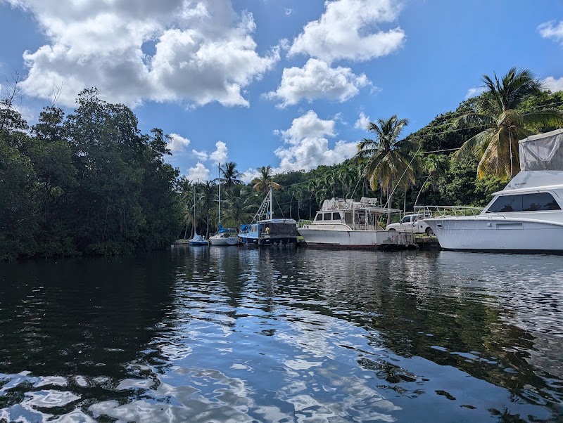 Photo 5 at Salt River Bay National Historical Park and Ecological Preserve in Christiansted