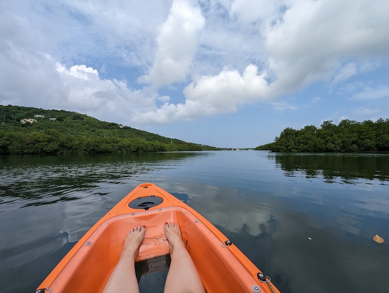 Photo 3 at Salt River Bay National Historical Park and Ecological Preserve in Christiansted