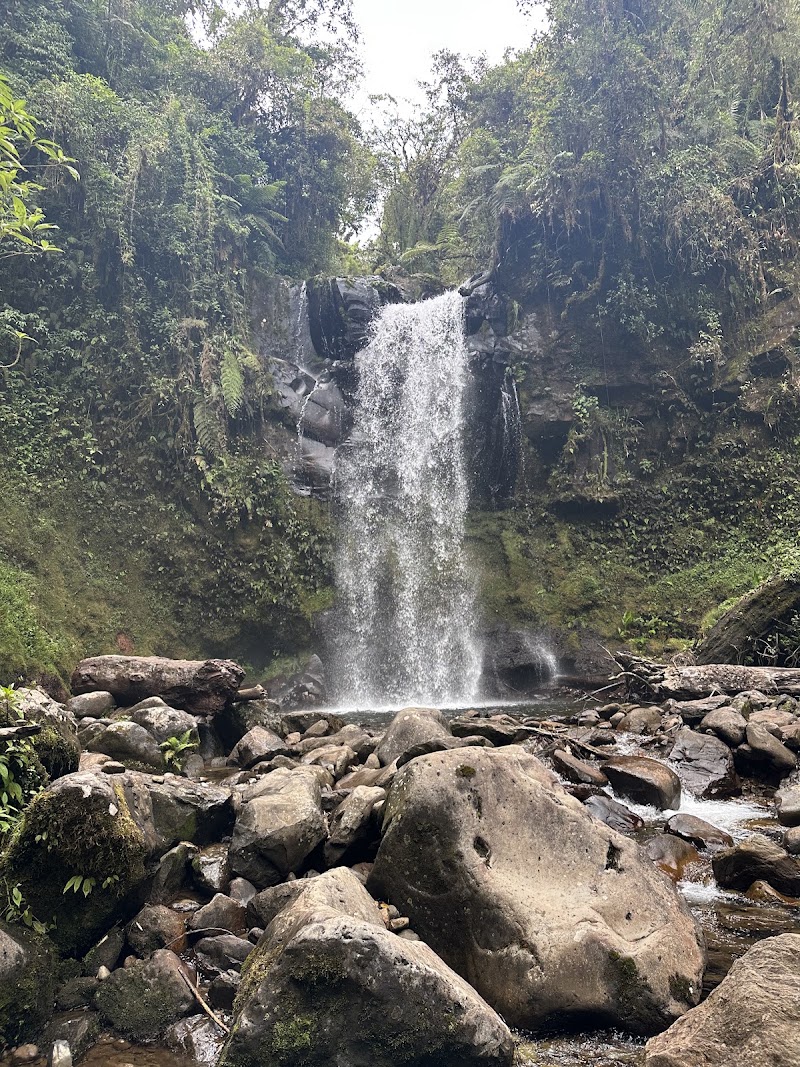 Photo 1 at Boquete Outdoor Adventures in Bajo Boquete