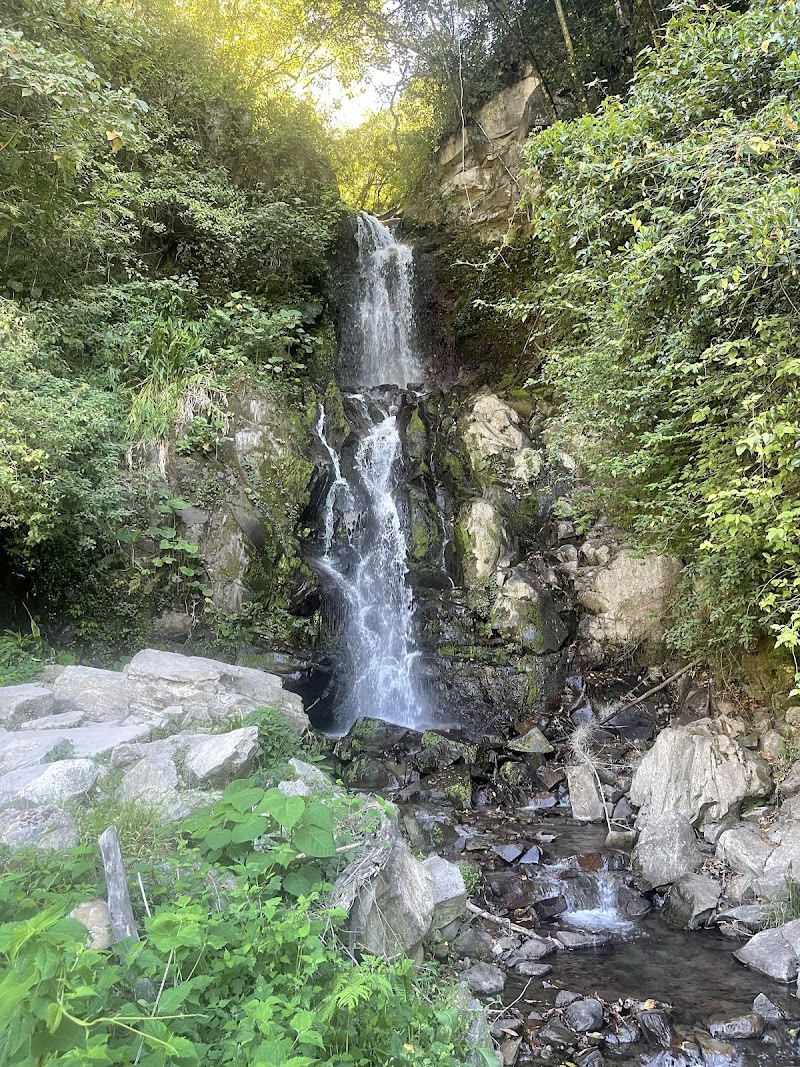 Photo 2 at Boquete Outdoor Adventures in Bajo Boquete