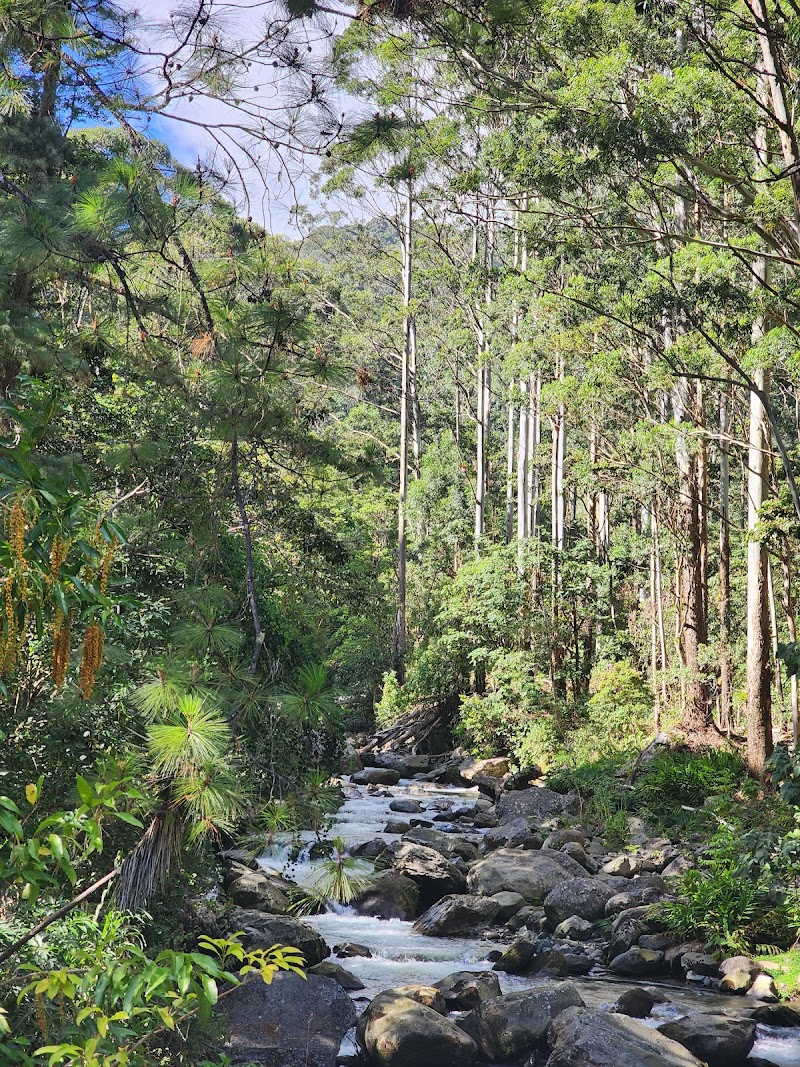 Photo 5 at Boquete Outdoor Adventures in Bajo Boquete