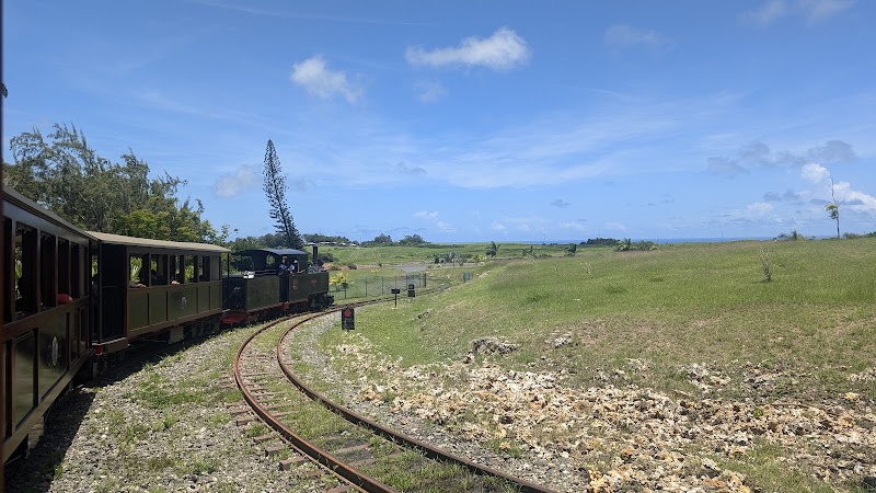 Photo 3 at St. Nicholas Abbey and Steam Railway in 