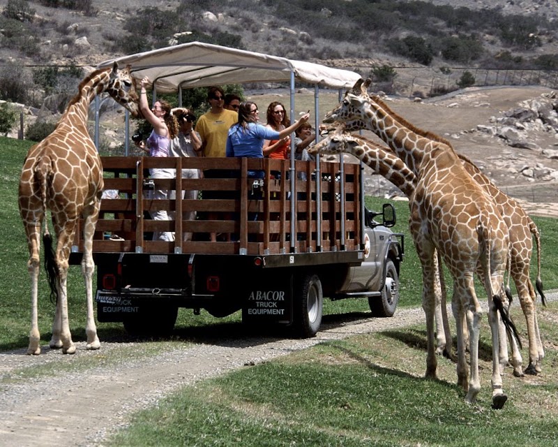 Photo 1 at San Diego Zoo in San Diego