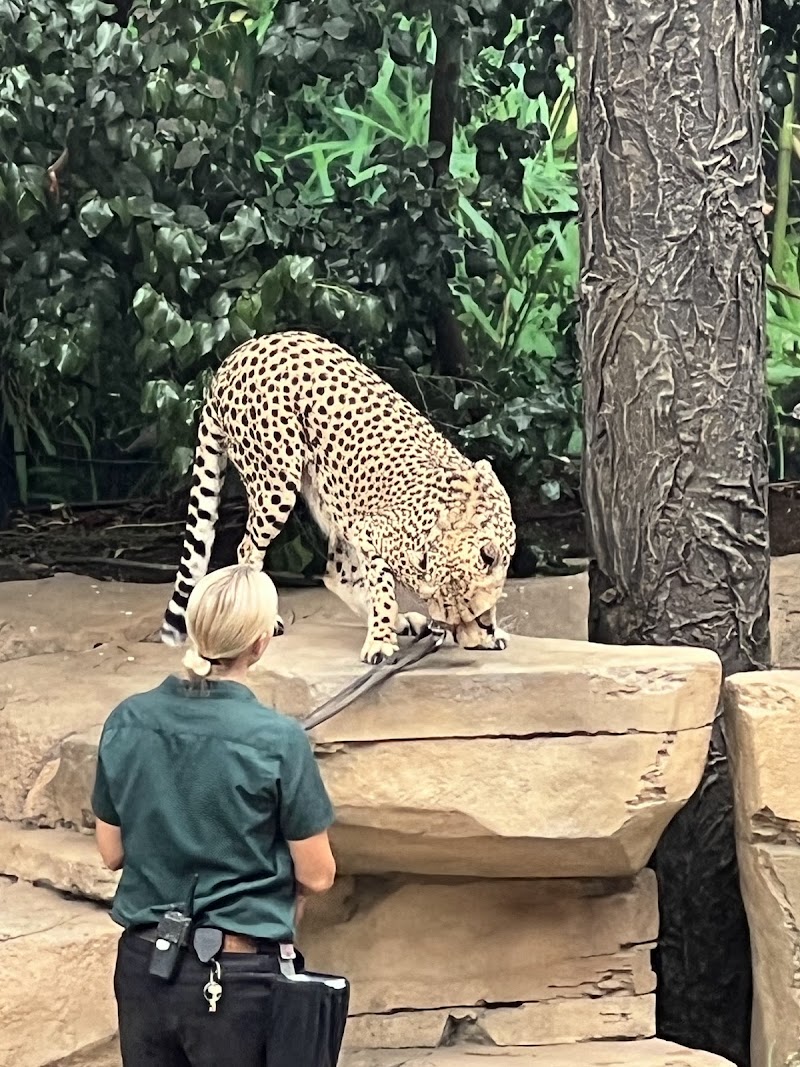 Photo 5 at San Diego Zoo in San Diego