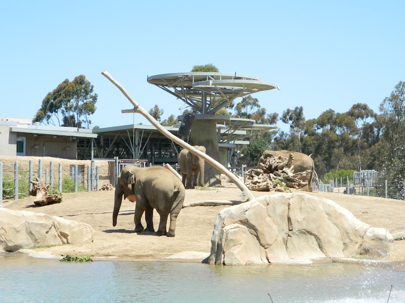 Photo 3 at San Diego Zoo in San Diego