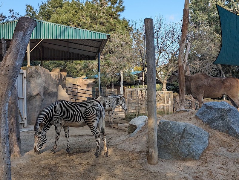 Photo 6 at San Diego Zoo in San Diego
