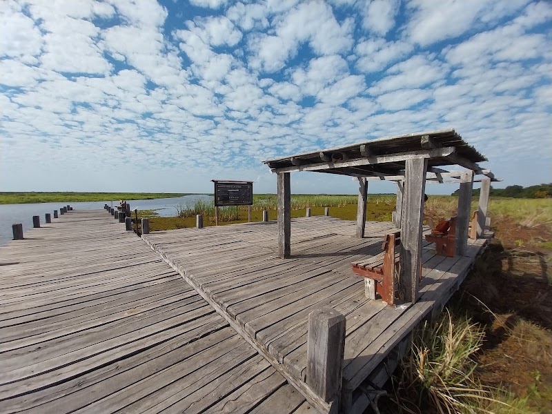 Photo 2 at Parque Nacional Iberá in Corrientes