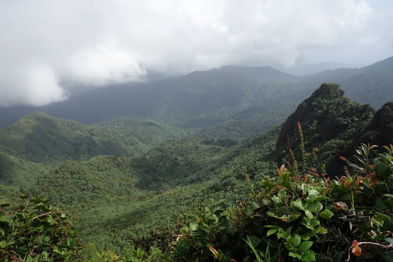 Photo 5 at El Yunque National Forest in 