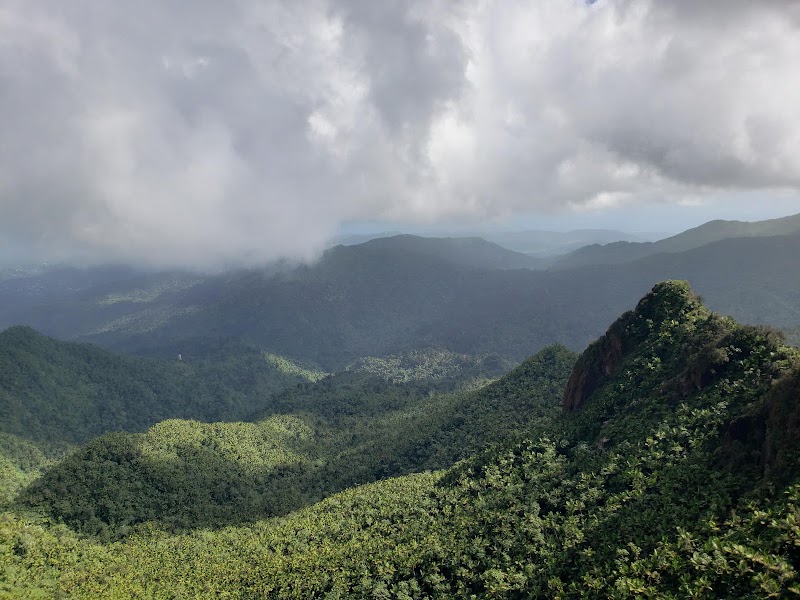 El Yunque National Forest in 