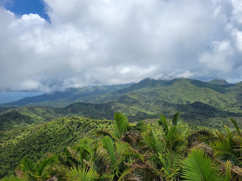 Photo 3 at El Yunque National Forest in 