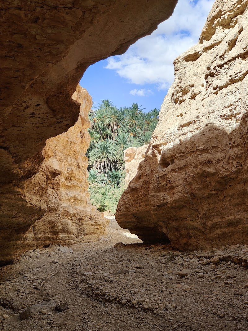 Photo 6 at Tamaghza Oasis in 