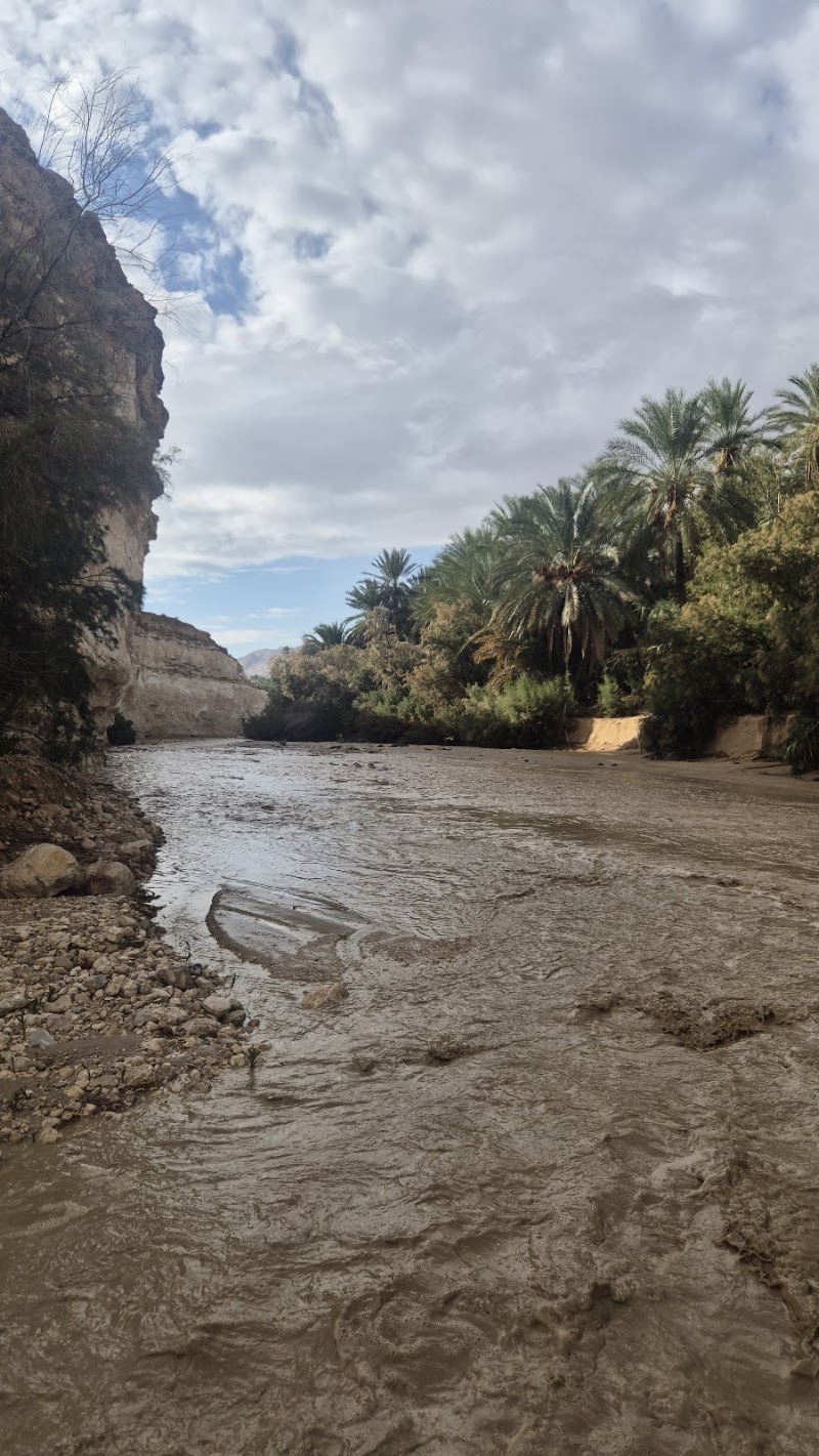 Photo 5 at Tamaghza Oasis in 