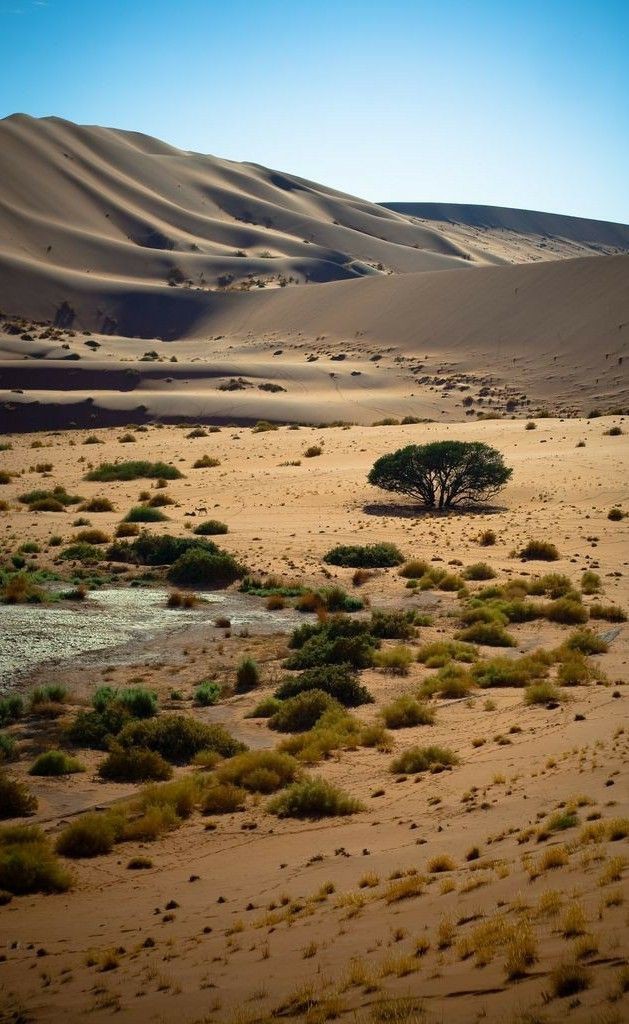 Great Gobi Strictly Protected Area in 