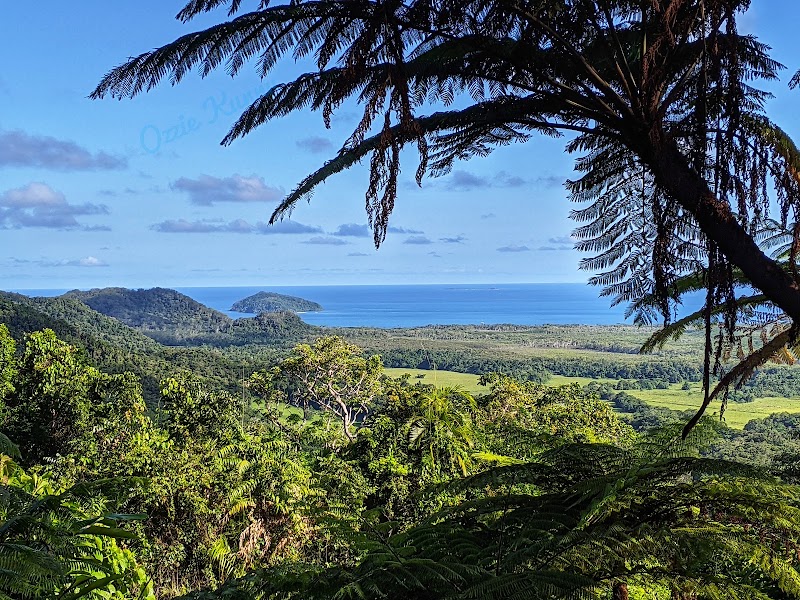 Photo 4 at Daintree Rainforest in Cape Tribulation