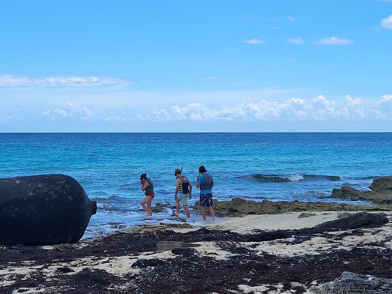 Photo 4 at BREEF Coral Reef Sculpture Garden & Nursery- Ocean Atlas in Nassau