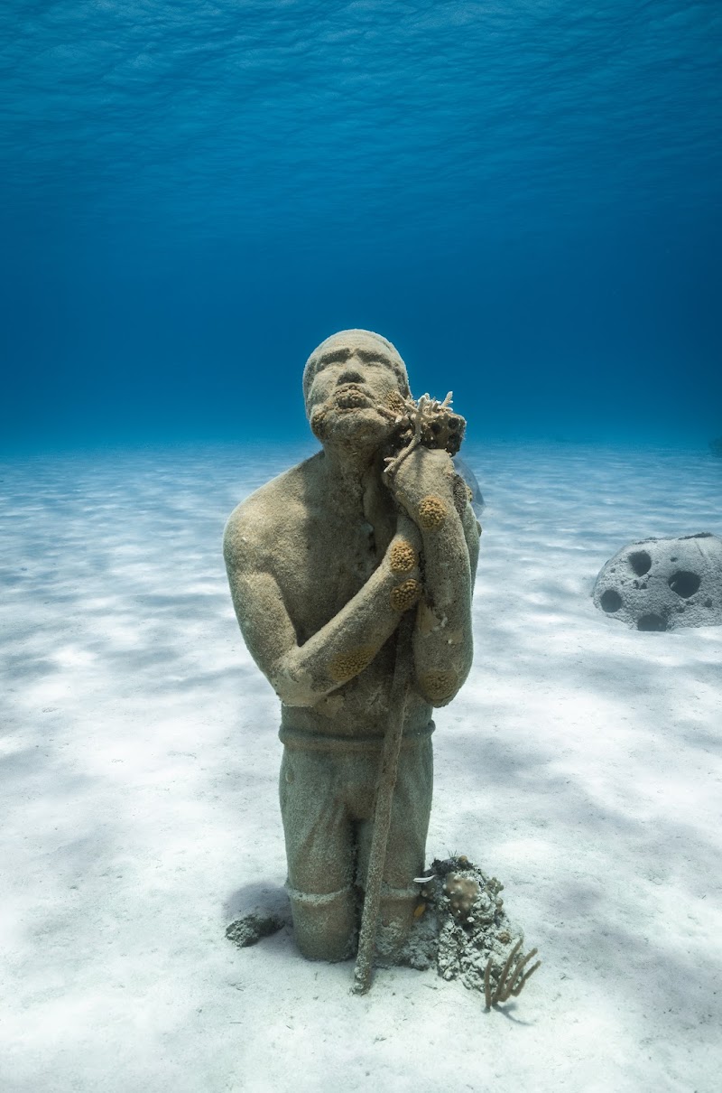 Photo 3 at BREEF Coral Reef Sculpture Garden & Nursery- Ocean Atlas in Nassau