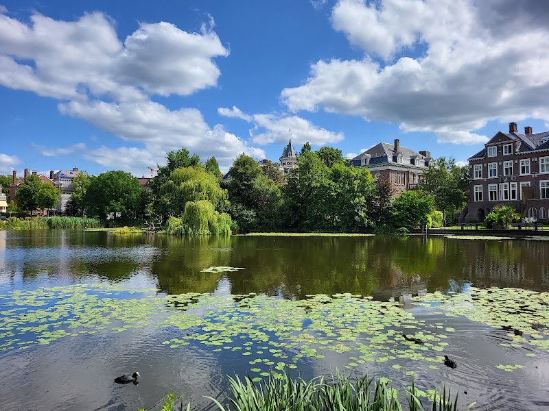 Photo 4 at Vondelpark in Amsterdam