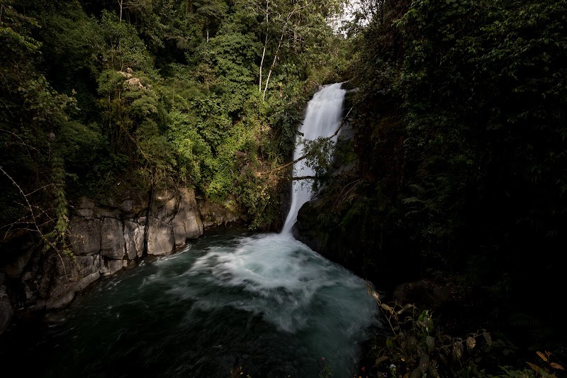 Cloudbridge Nature Reserve in San Gerardo