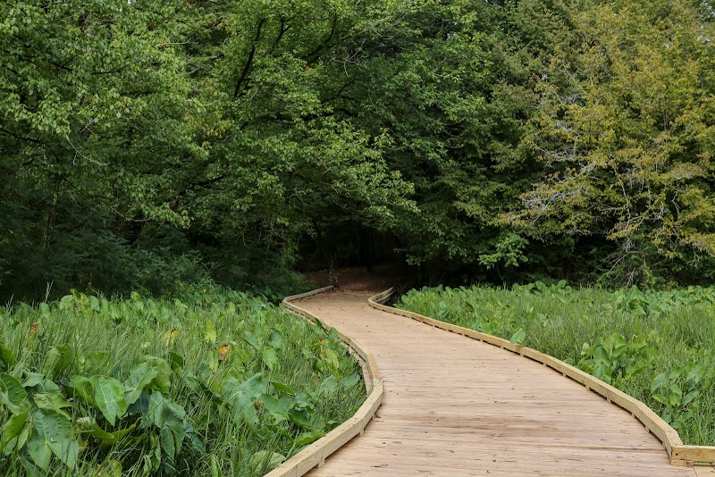 The State Botanical Garden of Georgia in Athens