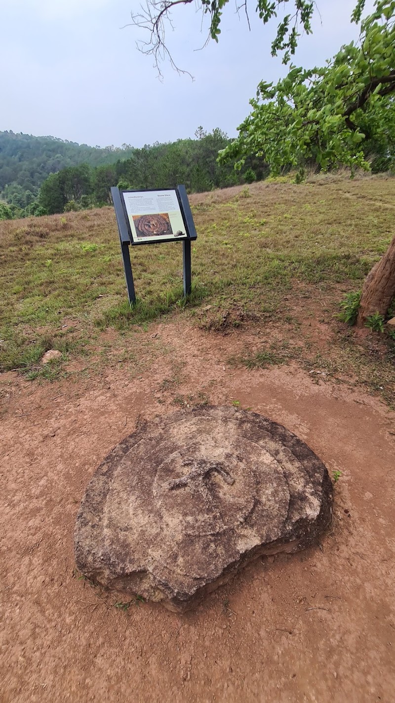 Photo 4 at Plain of Jars Site ທົ່ງໄຫຫີນ 2 ສະຖານທີ່ 2 in Nak Ho