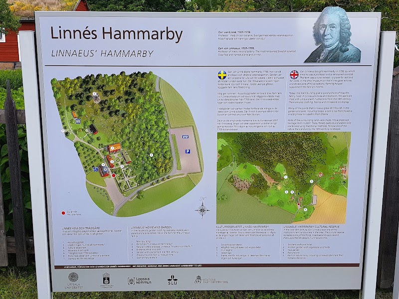 Photo 6 at Linnaeus' Hammarby in Uppsala