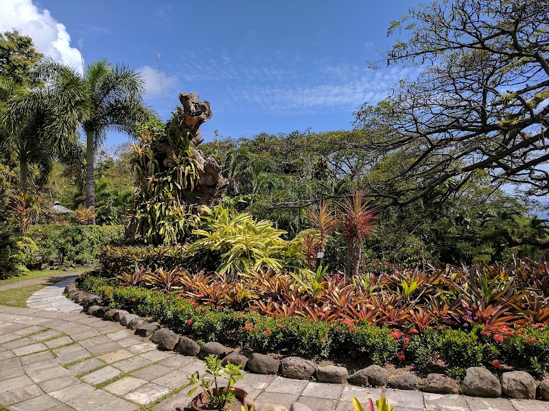 Photo 5 at Central Forest Reserve National Park in Old Road Town