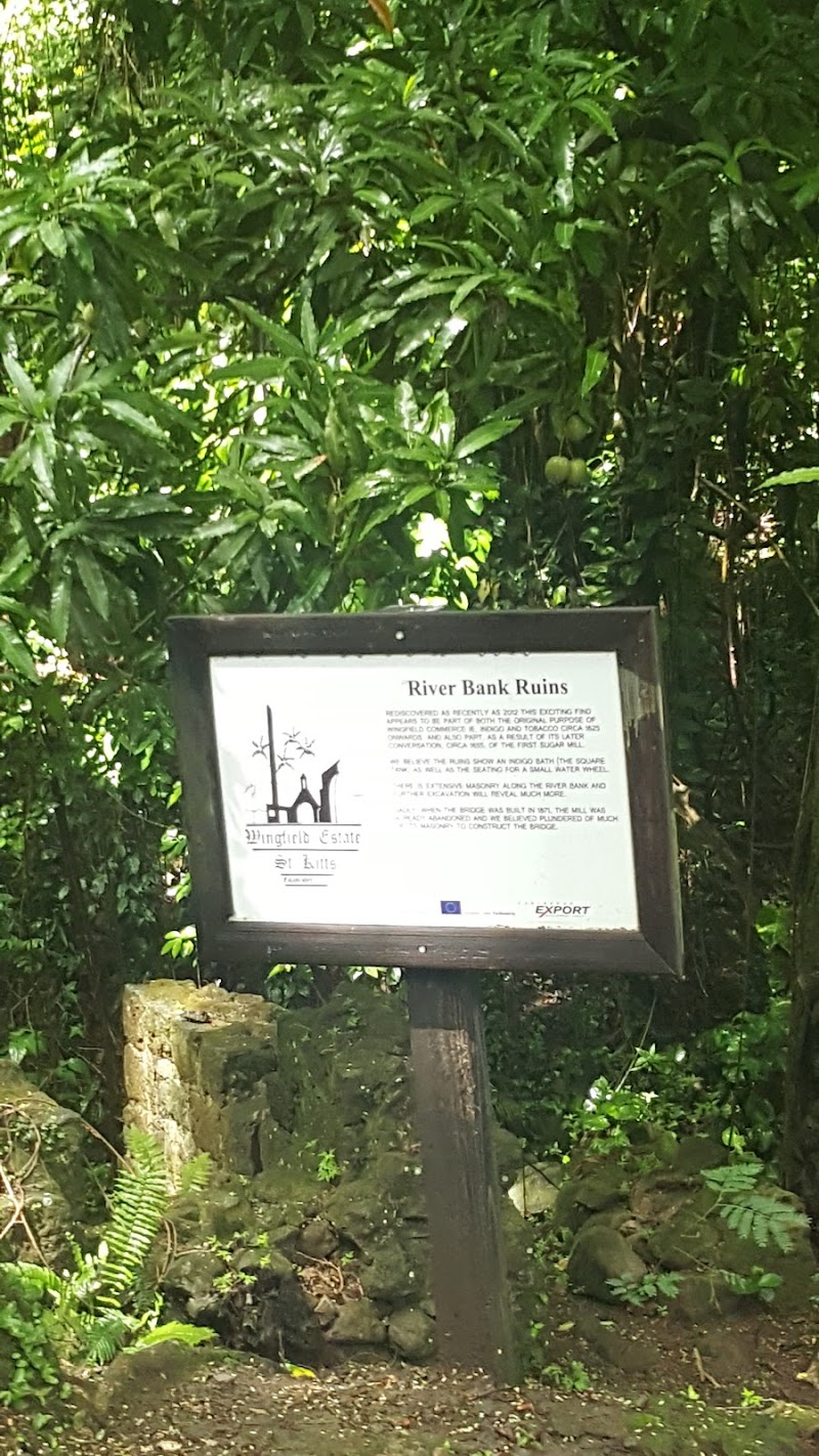 Photo 3 at Central Forest Reserve National Park in Old Road Town