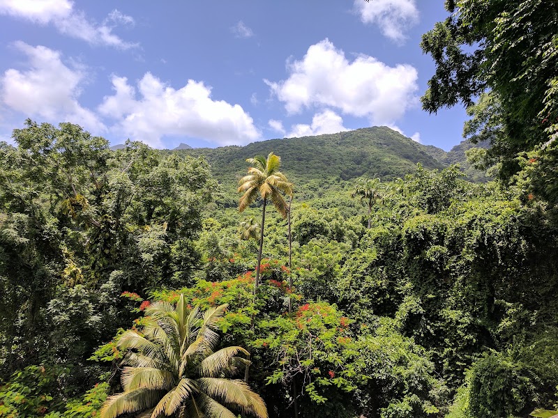 Photo 4 at Central Forest Reserve National Park in Old Road Town