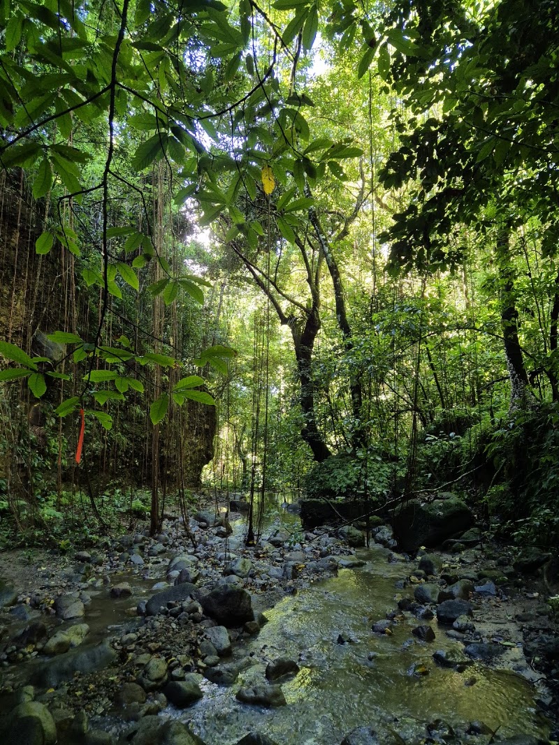 Photo 6 at Central Forest Reserve National Park in Old Road Town