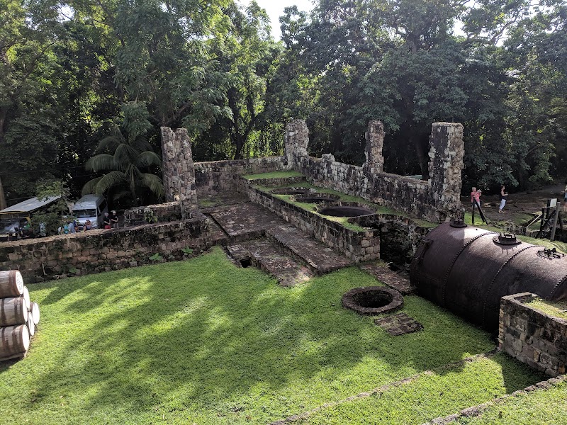 Central Forest Reserve National Park in Old Road Town