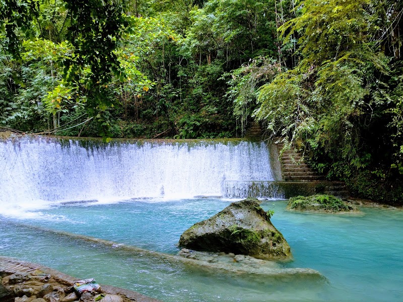 Photo 3 at Kawasan Falls in Badian