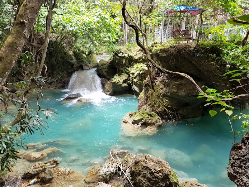 Photo 5 at Kawasan Falls in Badian