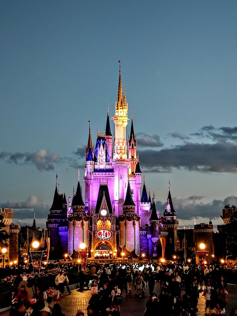 Photo 5 at Tokyo Disney Resort in Urayasu