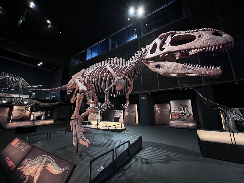 Photo 2 at CosmoCaixa Museum of Science in Barcelona