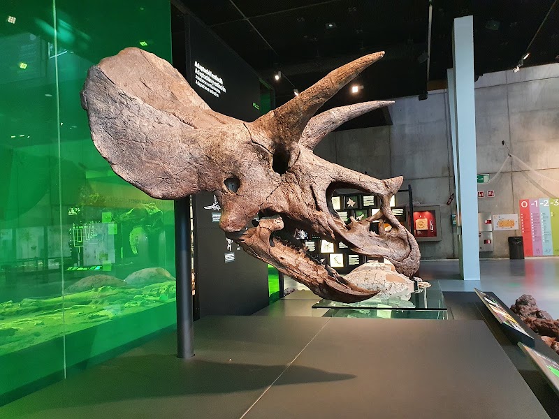 Photo 4 at CosmoCaixa Museum of Science in Barcelona