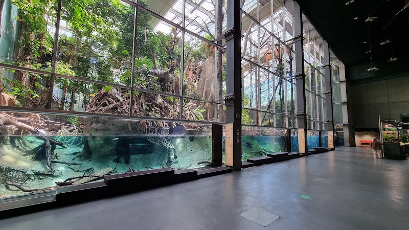 Photo 1 at CosmoCaixa Museum of Science in Barcelona